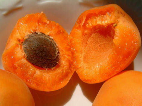 apricot